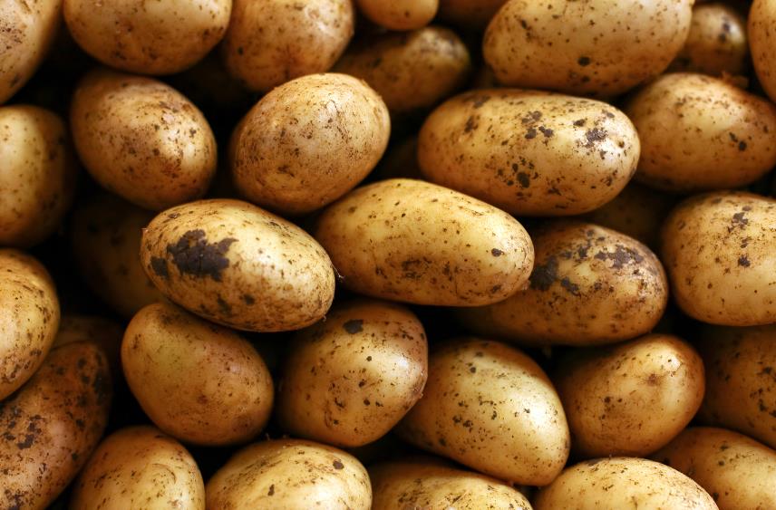 5390325731384759 image