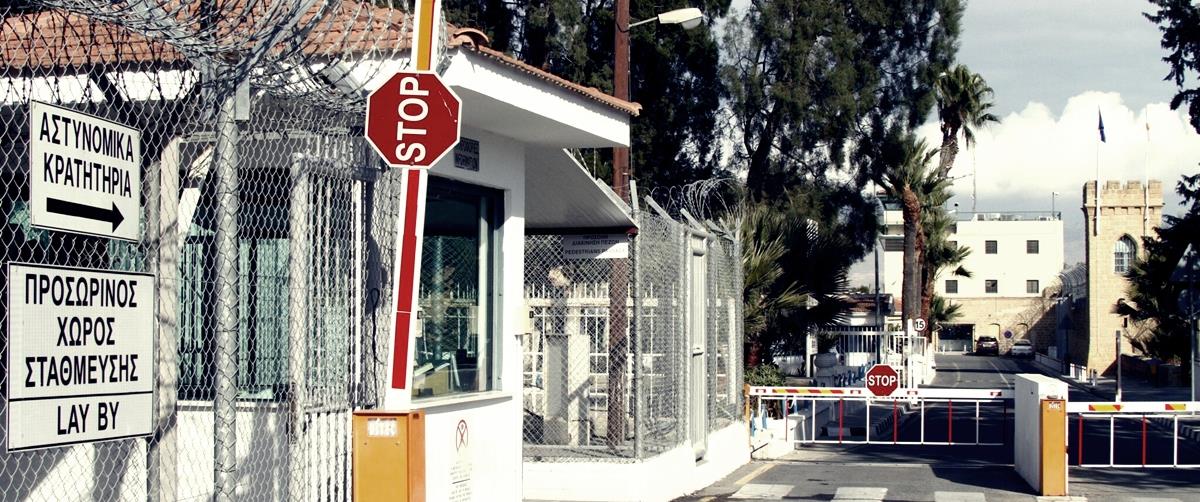 5390336348008712 cats