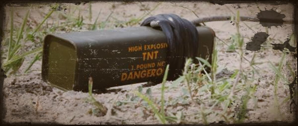 5390408952889039 cats