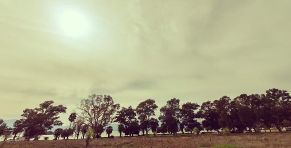 5390800297614180 cats