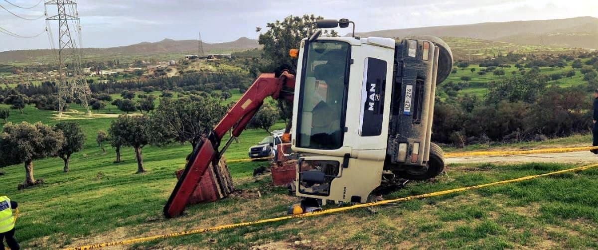 5390819262752174 cats