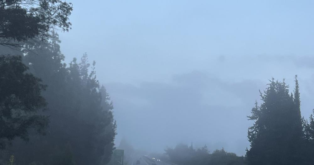 5390843504734506 cats