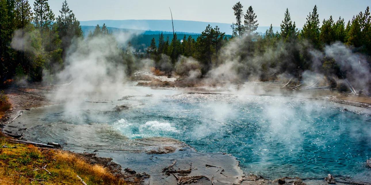 5390888417523912 image