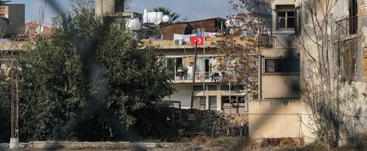 5390899354161639 cats