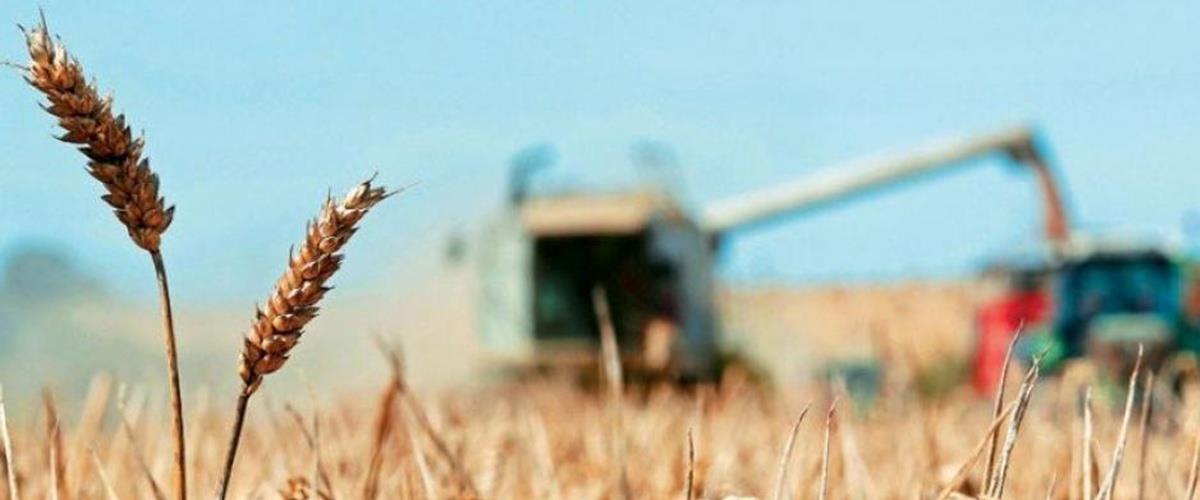 Προειδοποιούν για αυξήσεις σε τιμές προϊόντων οι αγρότες-«Καταστροφική η μείωση της παροχής νερού λόγω λειψυδρίας»