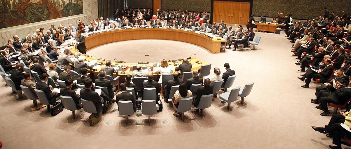 5390970855965822 cats