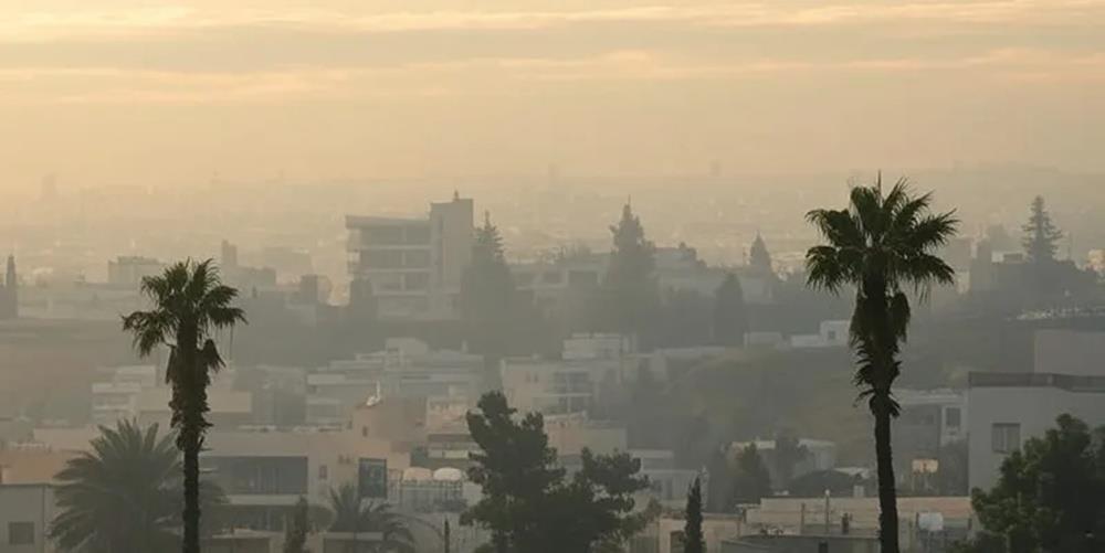 5390975635336757 cats