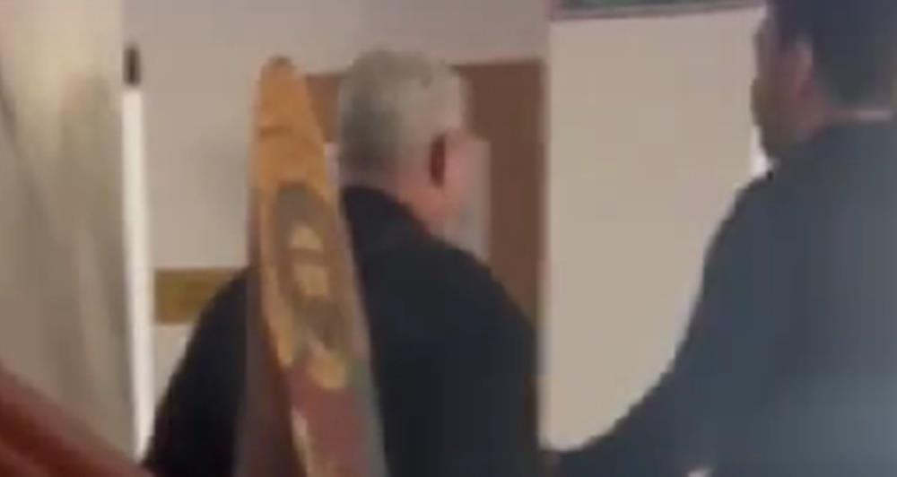 5391019782055954 cats