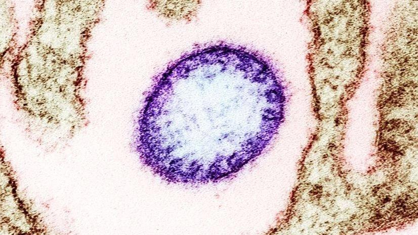 5391163286583655 image