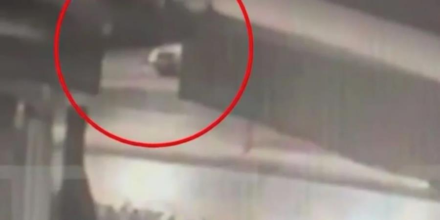 5391671825994243 image