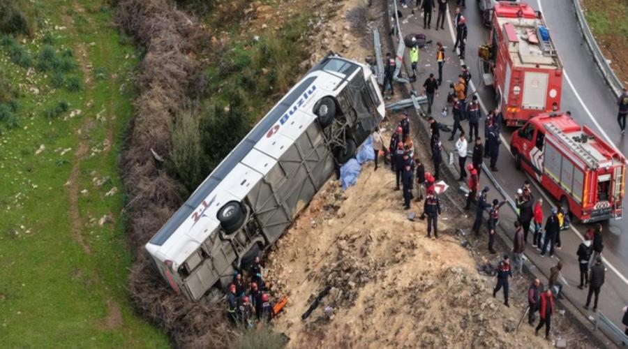 5391839269564672 atalia12