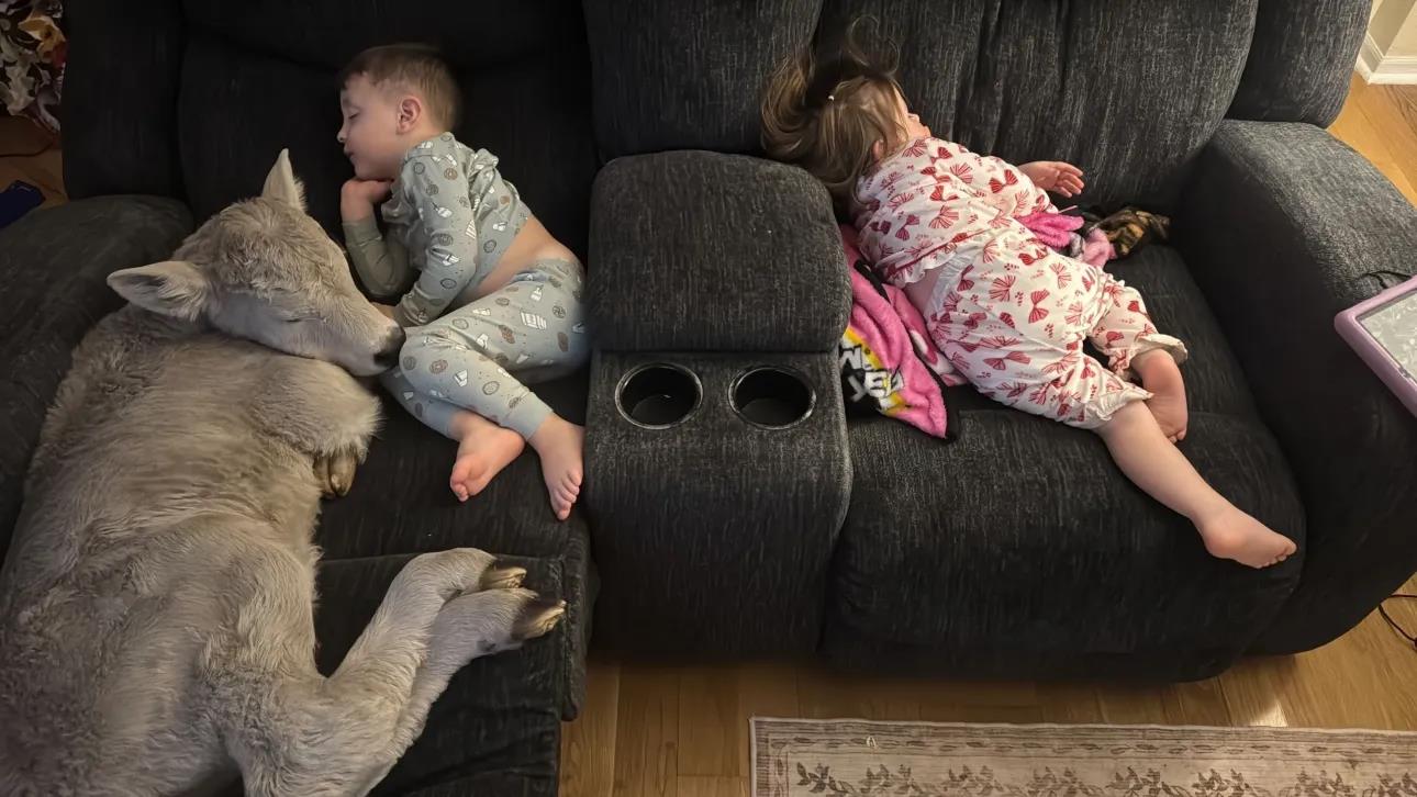 5391956283823982 image