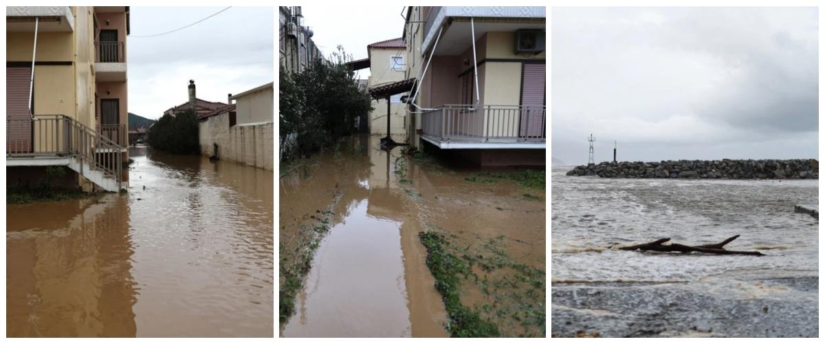 5391966728891898 collage