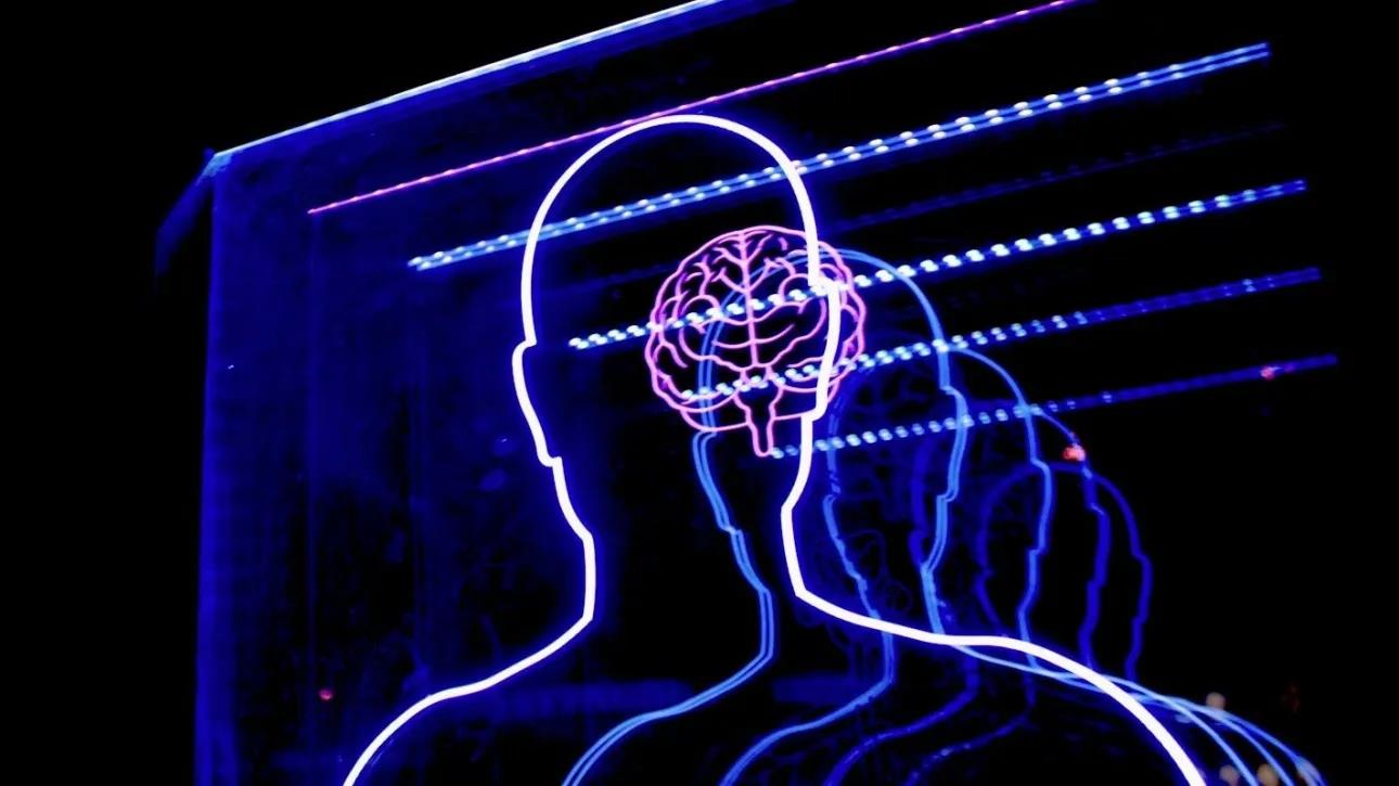 5392086454119706 image