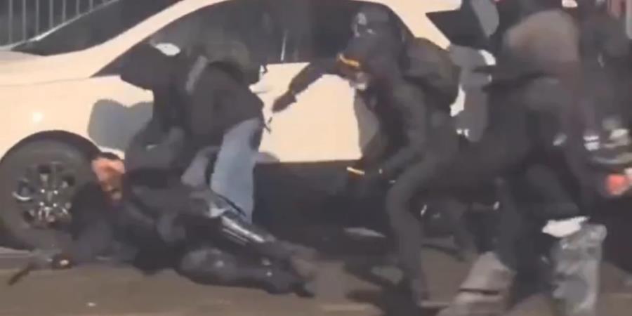 5392103967605497 image