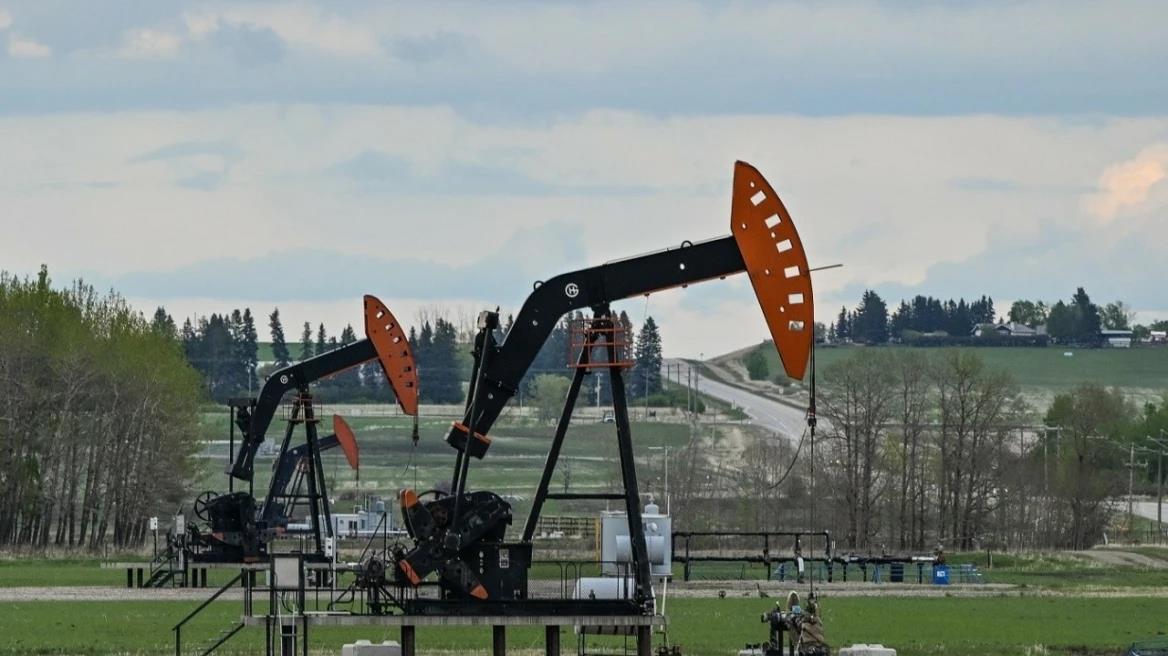 5392485639680922 image