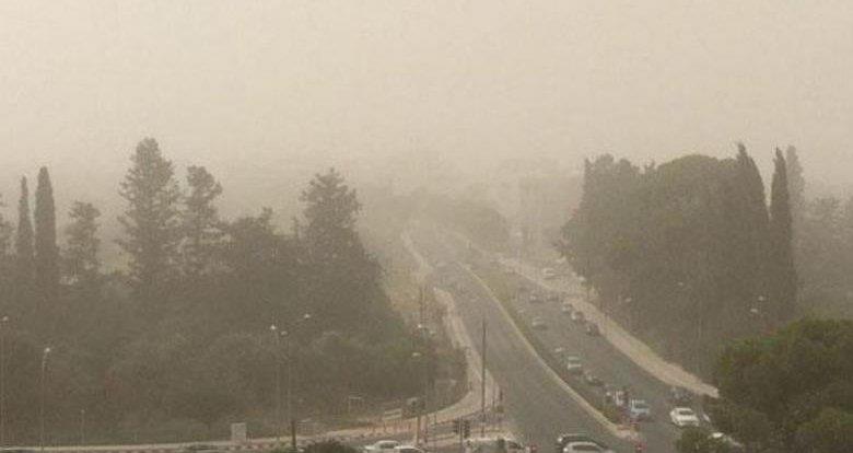 5392493867839316 image