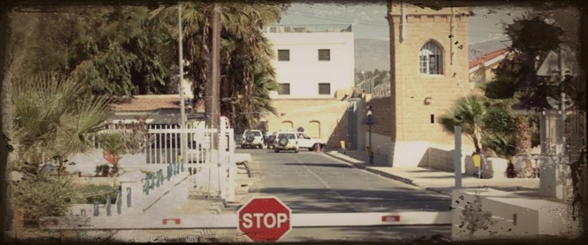 5392615620861626 cats