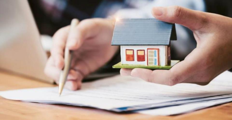 5392756029048406 image