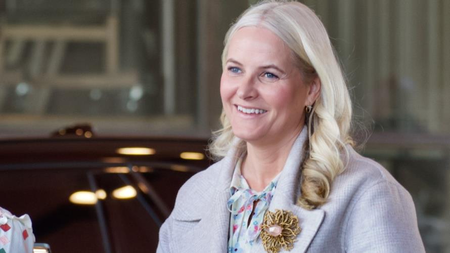 5392766379469115 image