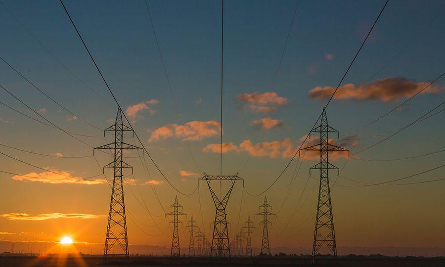 5392815427828998 image