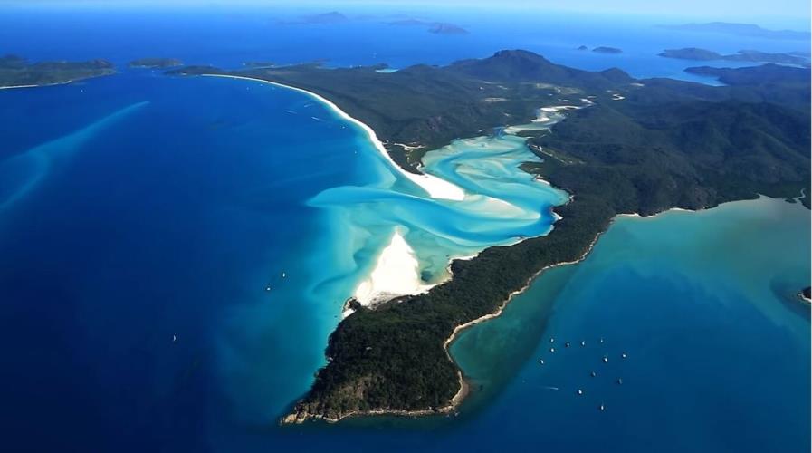 5392871486175895 image