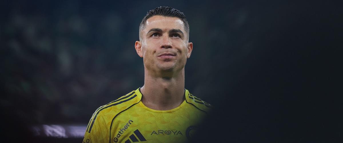 5393388585923311 cats