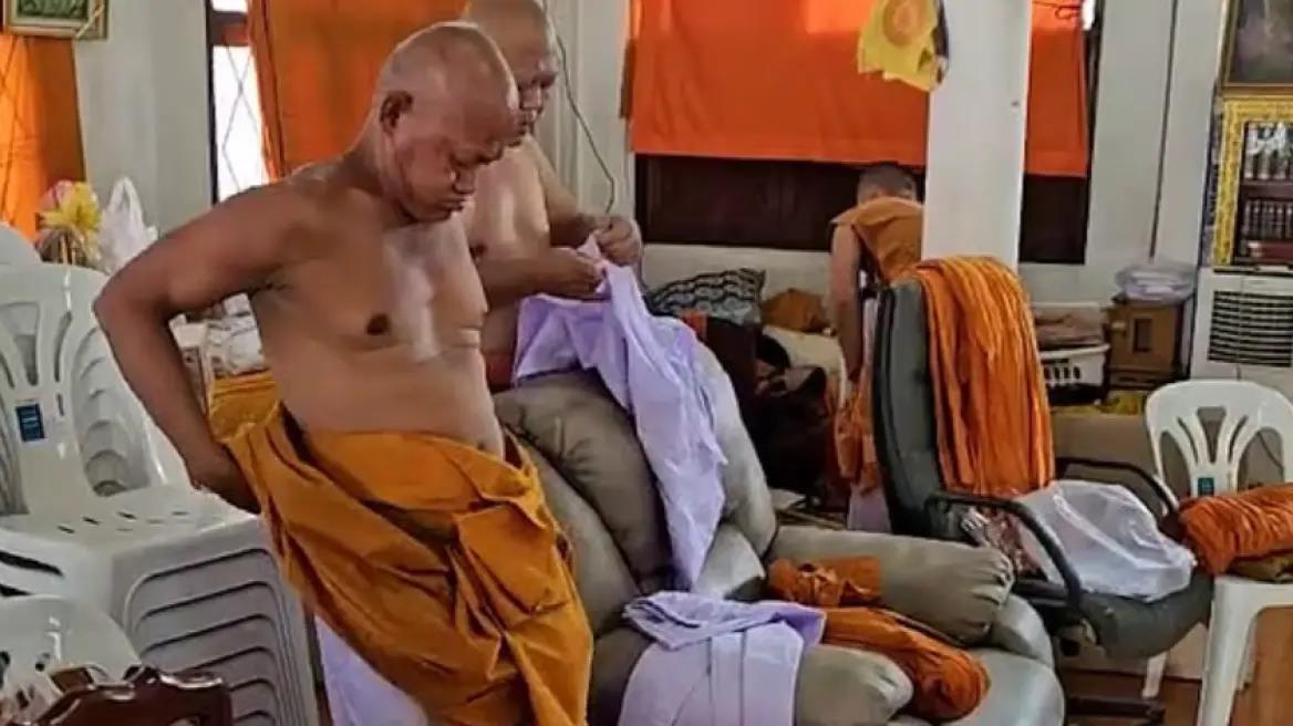 5393444602051170 image