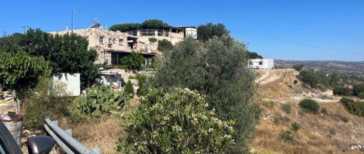 5393541621719234 image