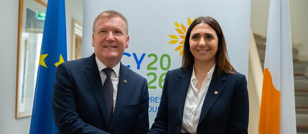 5393563198906548 cats