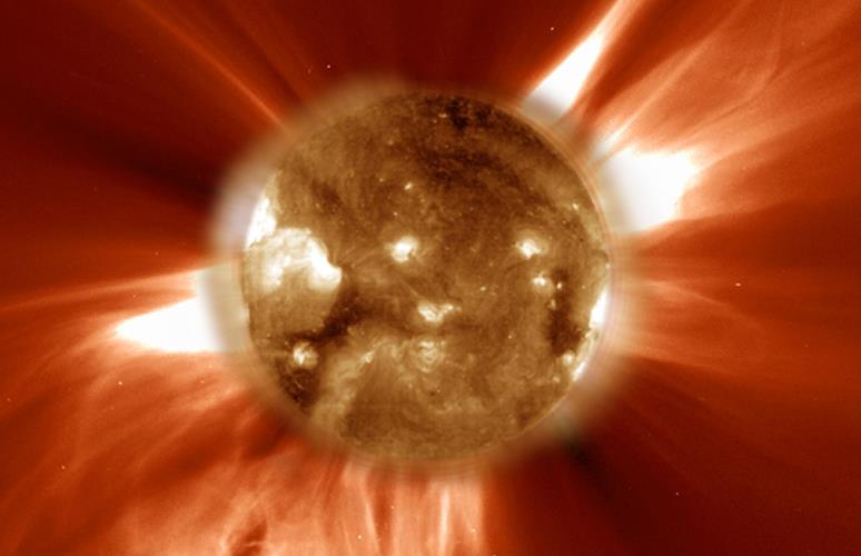 5393607836594019 image