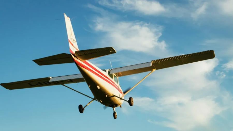 5393645005885597 image