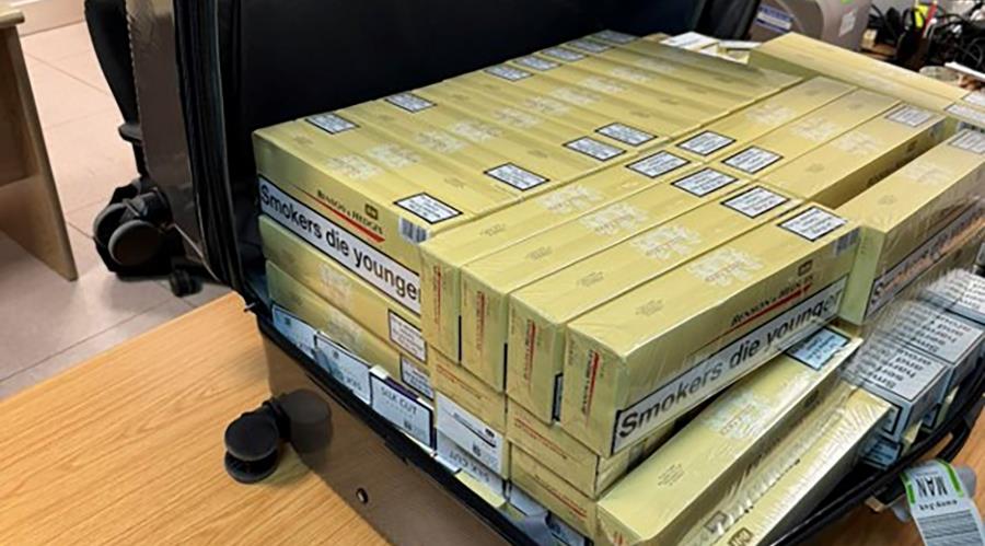 5393764543601736 DOC.20260203.9758648.CIGS+PAFOS