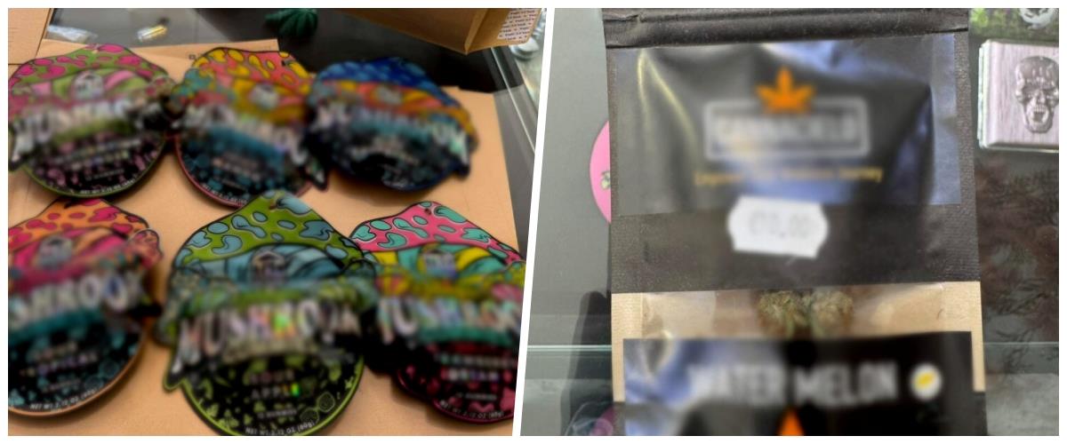 5393784316052085 collage