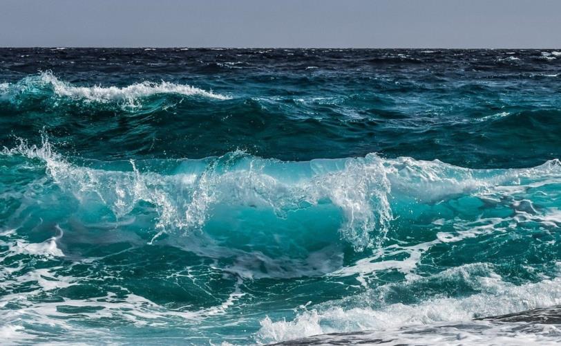 5393883078224269 image