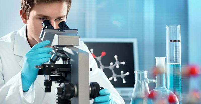 5393888918881812 image