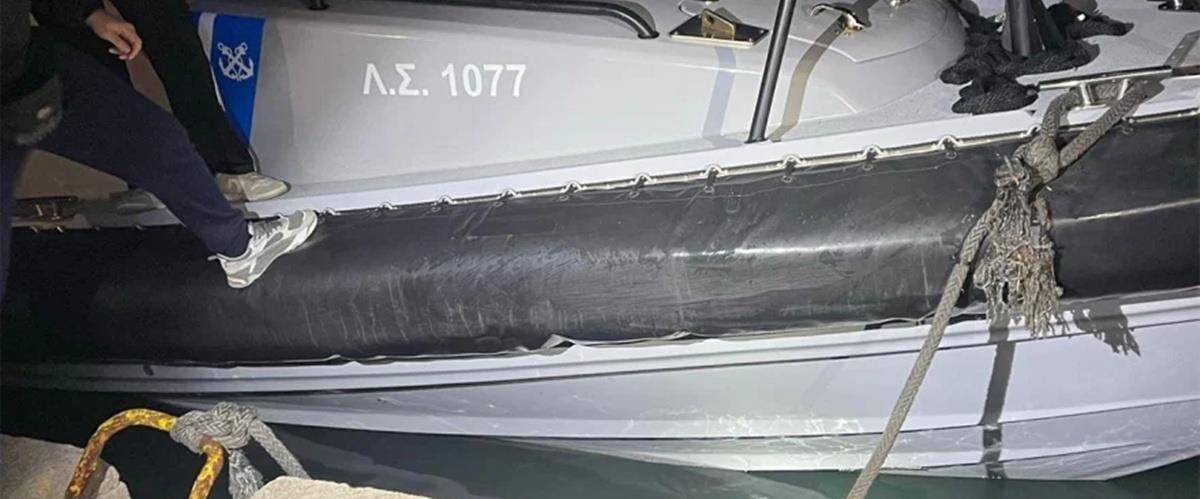 5394389060762760 cats