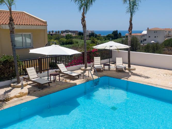 5394454846726721 cg11225 (1)