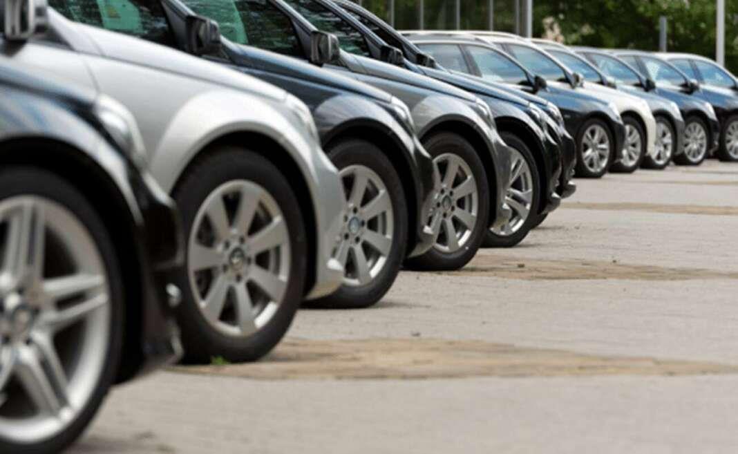 5394482521031626 image