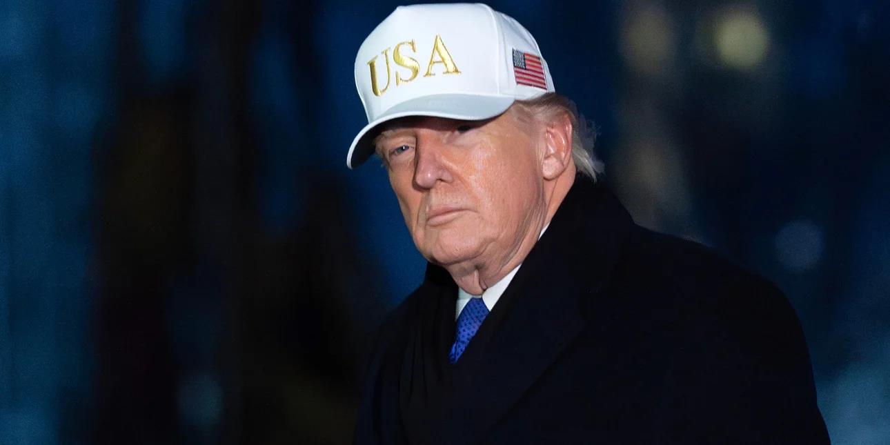 5395075378800855 image