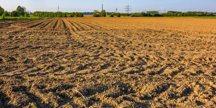 5395175098036344 image