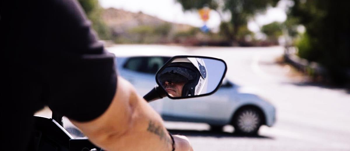 5395325600354651 cats