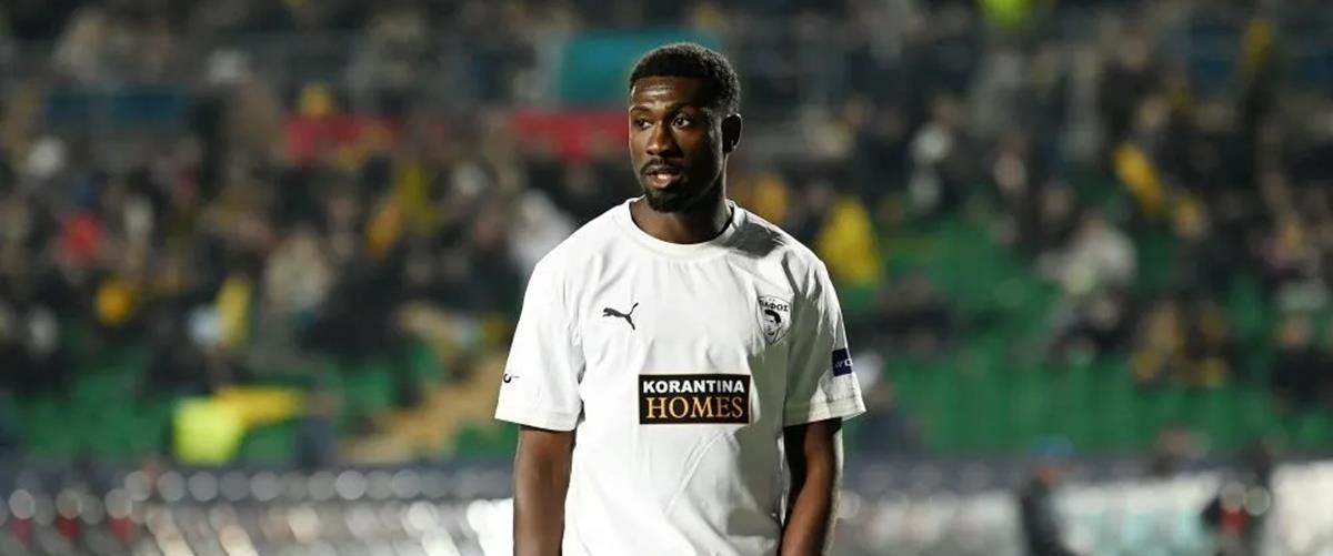 5395336057782517 cats