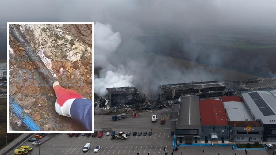 5395567917687950 xrwma-violanta