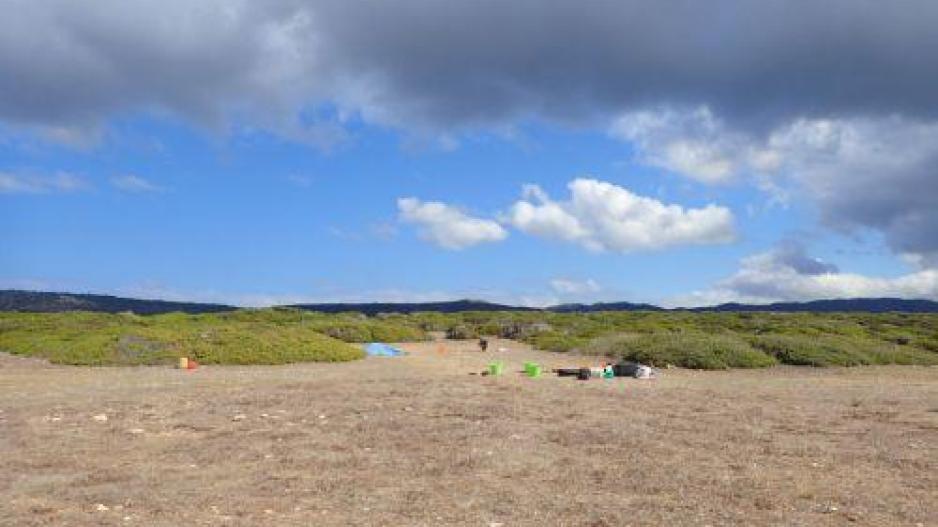 5395609776512513 image