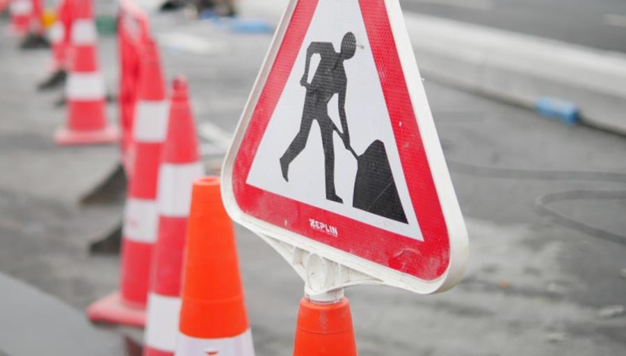 5396417799196937 cats