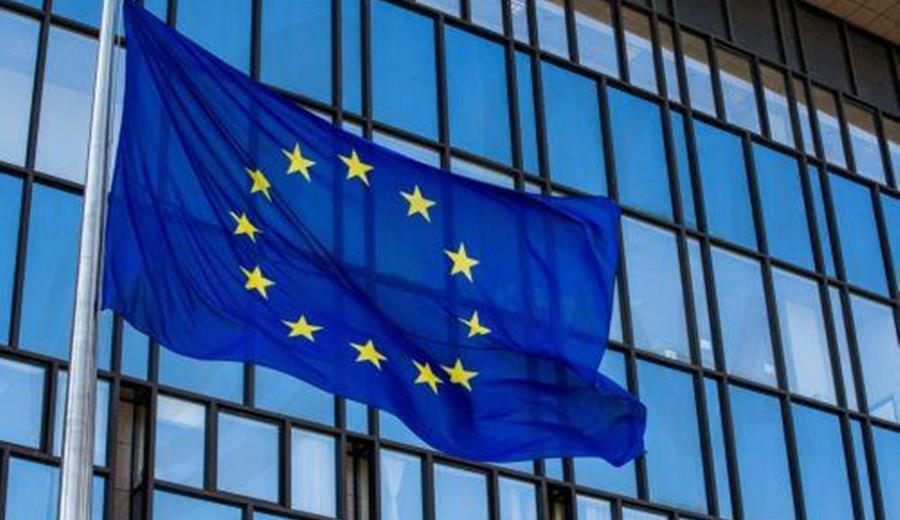 5396429398011753 cats