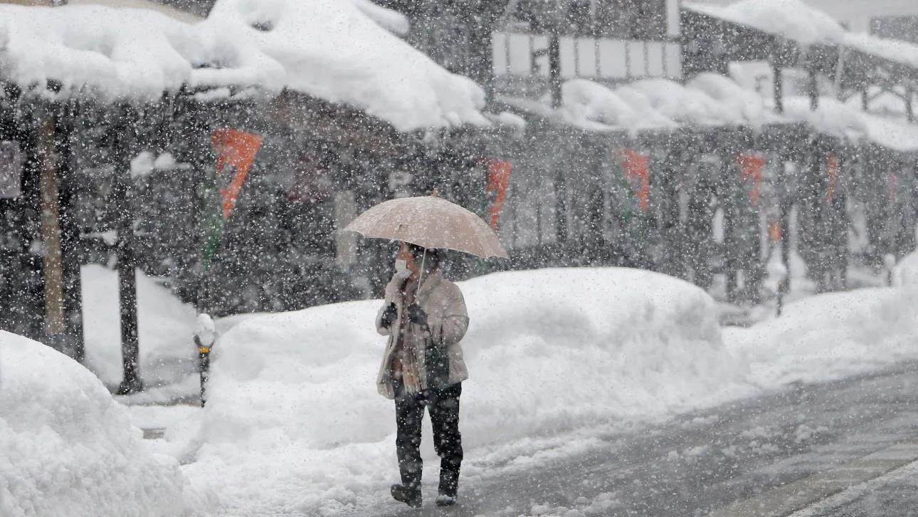 5397031786108425 image