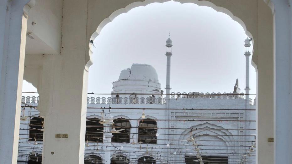 5397222337817789 image