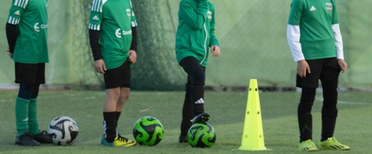 5397237790875933 629423688 18059791967658995 7373393702189482501 n